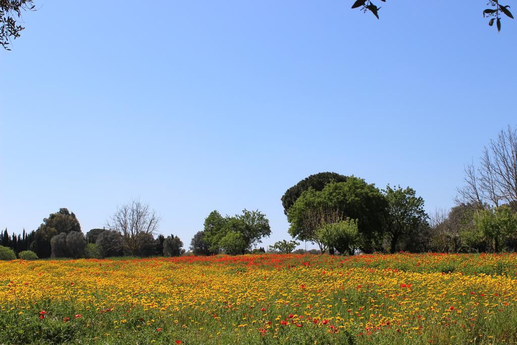 הוילה קוטרופיאנו Casina Bardoscia מראה חיצוני תמונה